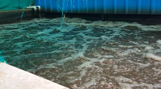 stp plant manufacturers in madurai sewage treatment plant suppliers in madurai